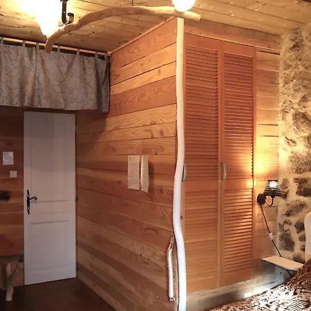 La Verte Salamandre 3* Allanche